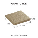 EX GF - 101 [Converted].