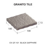 EX GF - 101 [Converted].