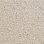 EX GF-126 White Champagne