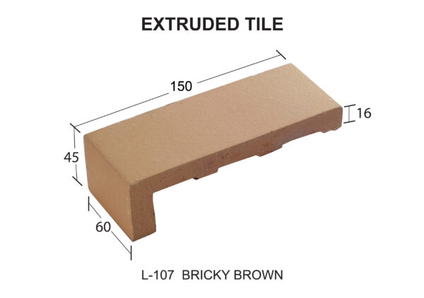 L-107 BRICKY BROWN