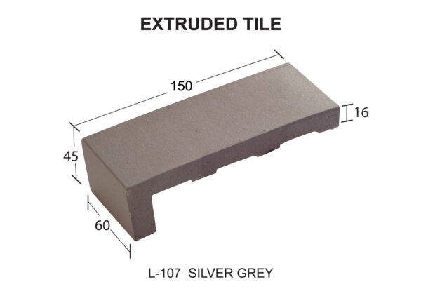 L-107 SILVER GREY