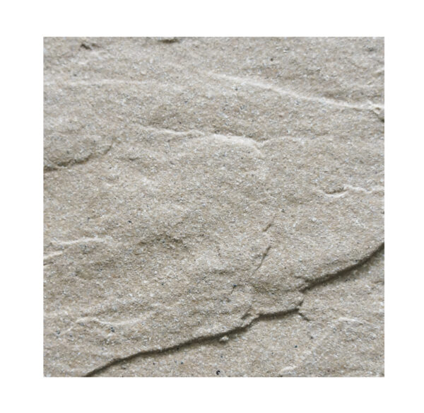 NR-202 White